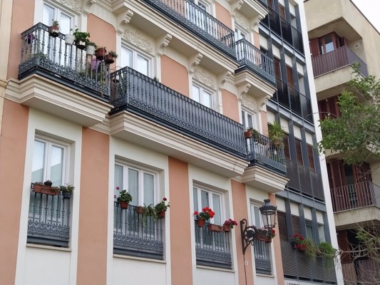 Los viveros de la Comunitat cogen aire gracias al 'boom' de la jardinería en casa por la pandemia