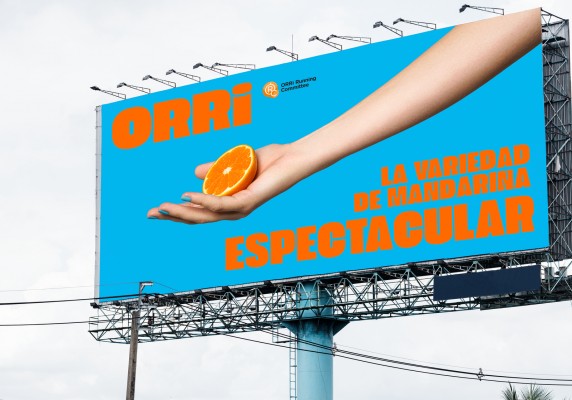 Orri, la mandarina que bate récords