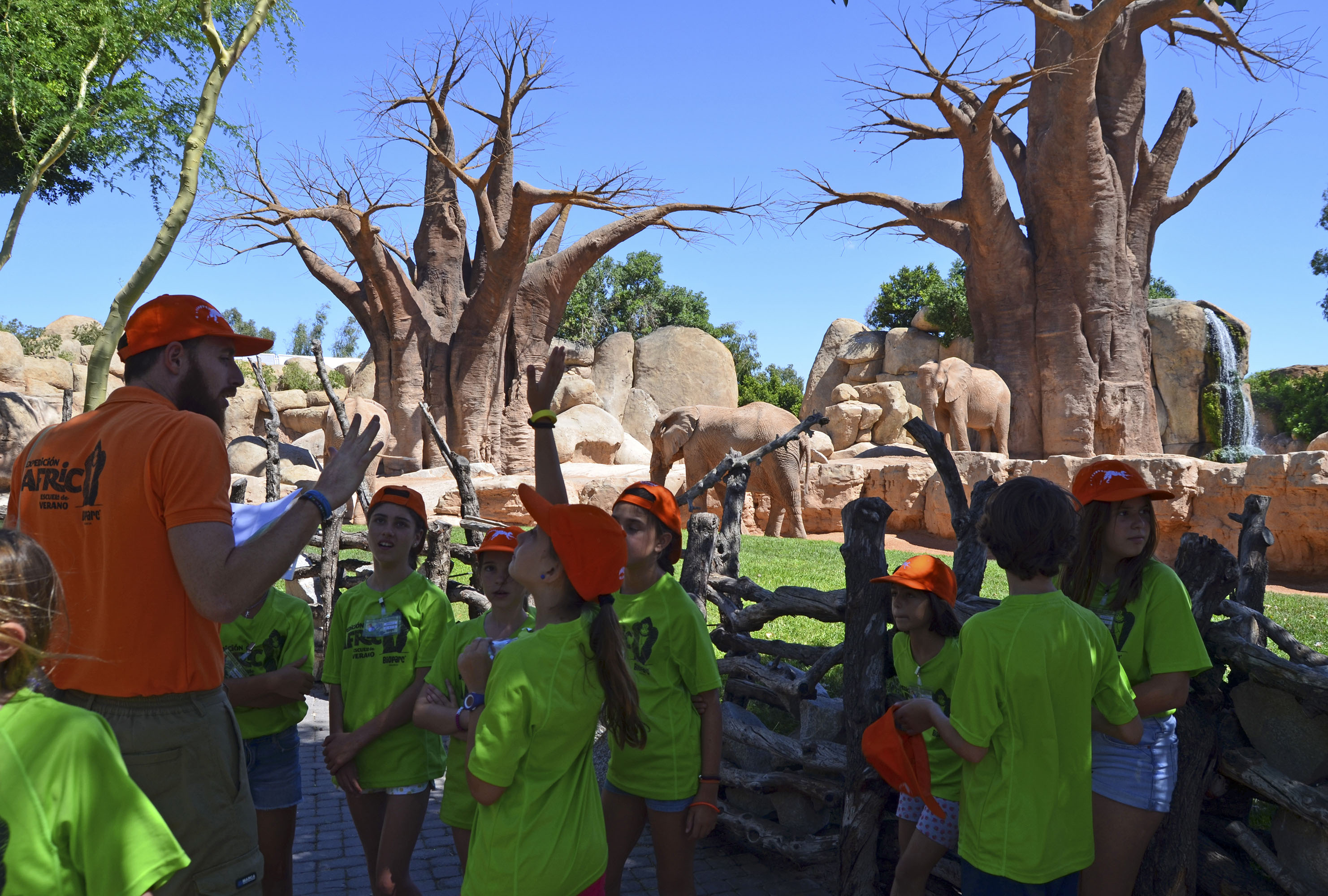 Foto: BIOPARC VALENCIA - 