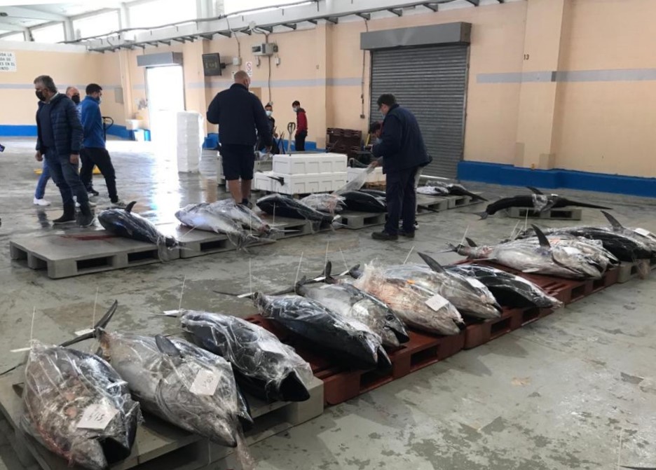 La pesca artesanal ve 