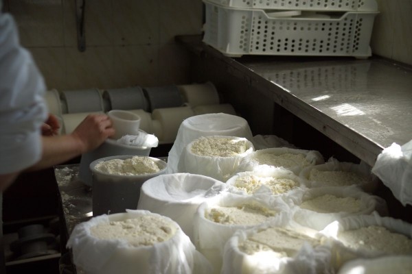 Los quesos de Almedíjar saltan a las cocinas de los Camarena, Dacosta, El Riff, Torrijos o Cal Paradís