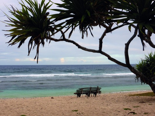  Ferits de Lletra: Les illes Vanuatu i un futur incert  