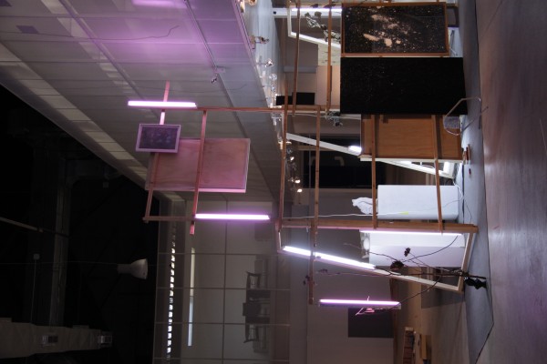 Diana Guijarro: sobre incomodidad y tiempos expositivos