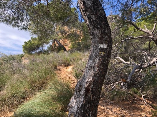 PP y Cs de Benidorm alertan sobre el mantenimiento del Parque Natural de Serra Gelada