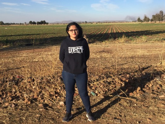 Cómo evitar pérdidas de agua por escorrentías controlando la infiltración