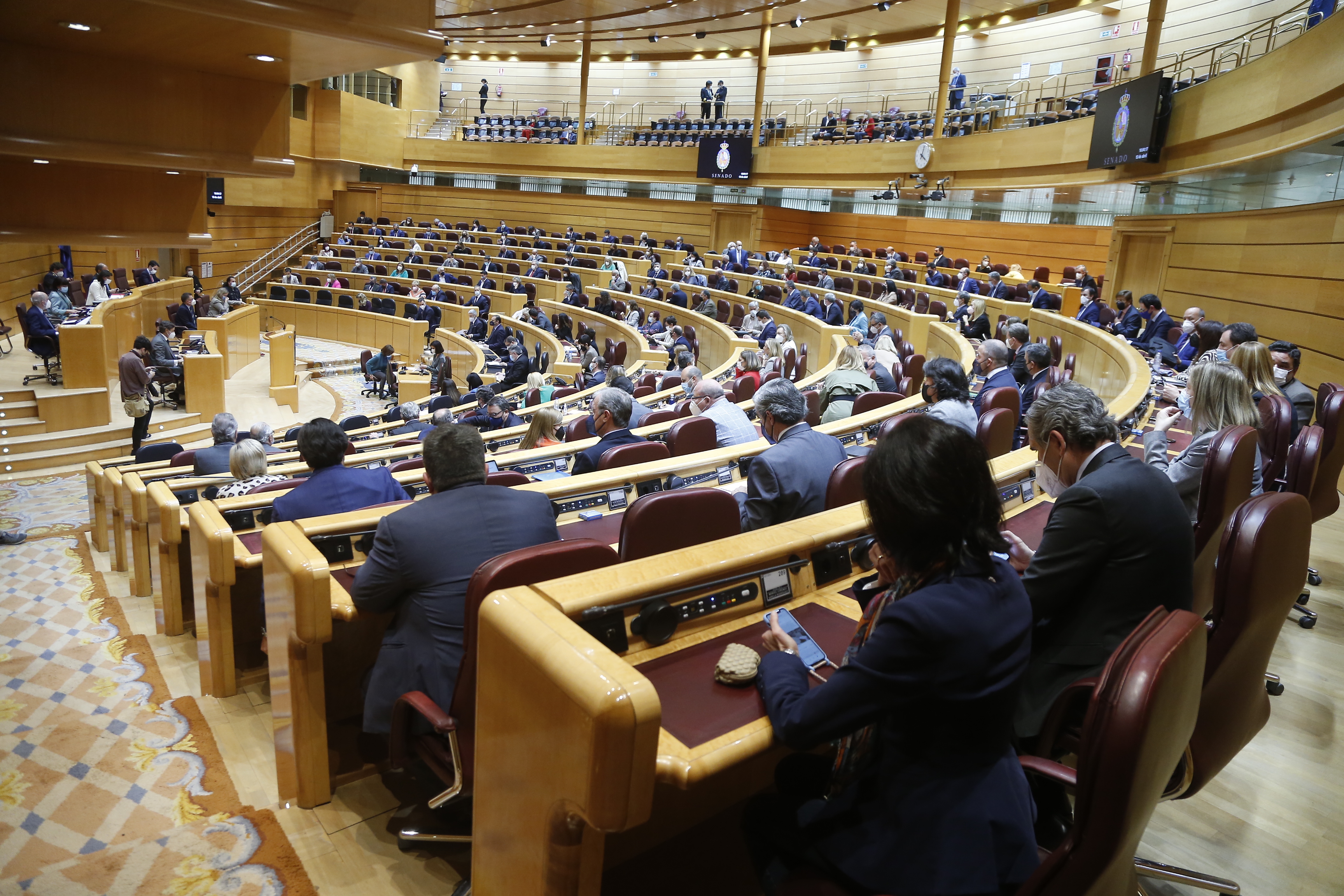 El insecticida contra el cotonet de Sudáfrica vuelve al Senado... y vuelve a enfrentar a los grupos