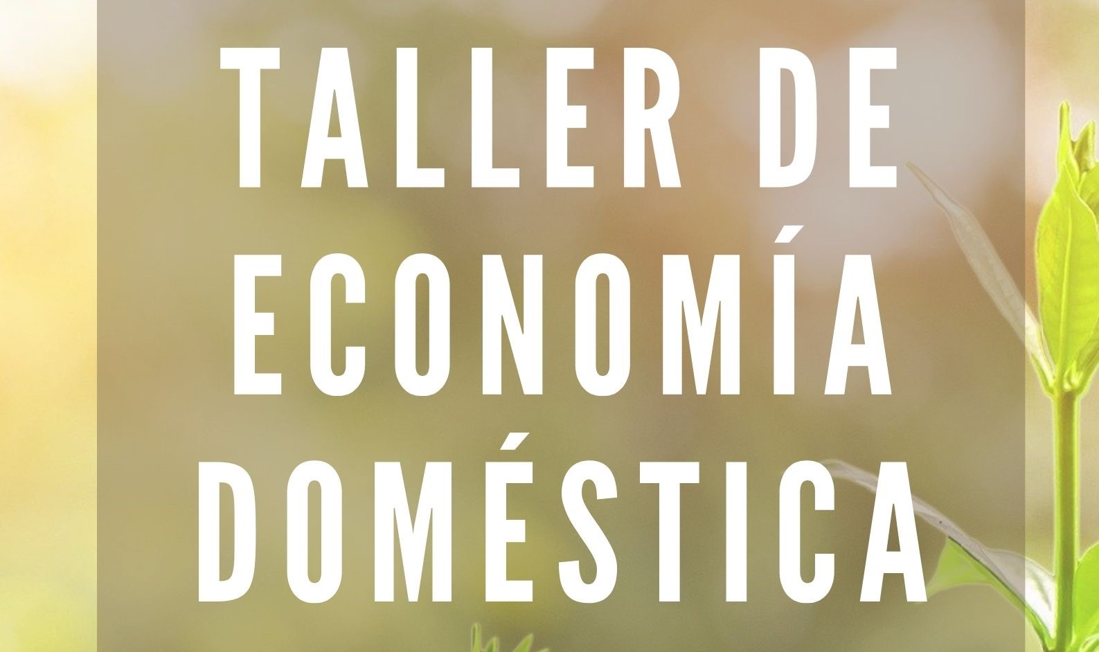 Alcer Castalia ofrece un taller sobre economía doméstica dirigido a las mujeres del colectivo