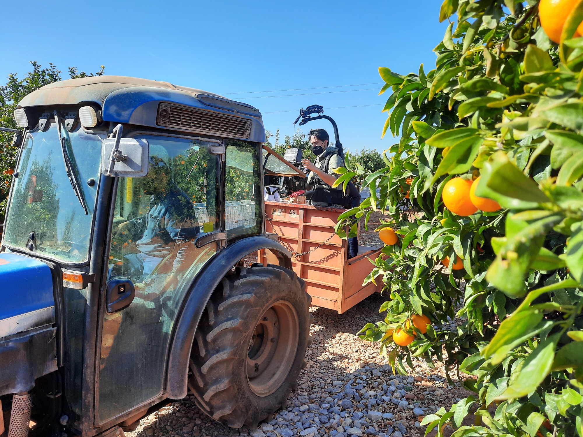 La patronal citrícola participa en una campaña de consumo europea y pide ayudas específicas para el sector