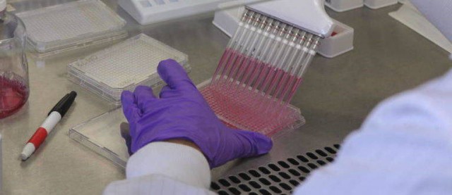 PharmaMar, preparada para romper al alza