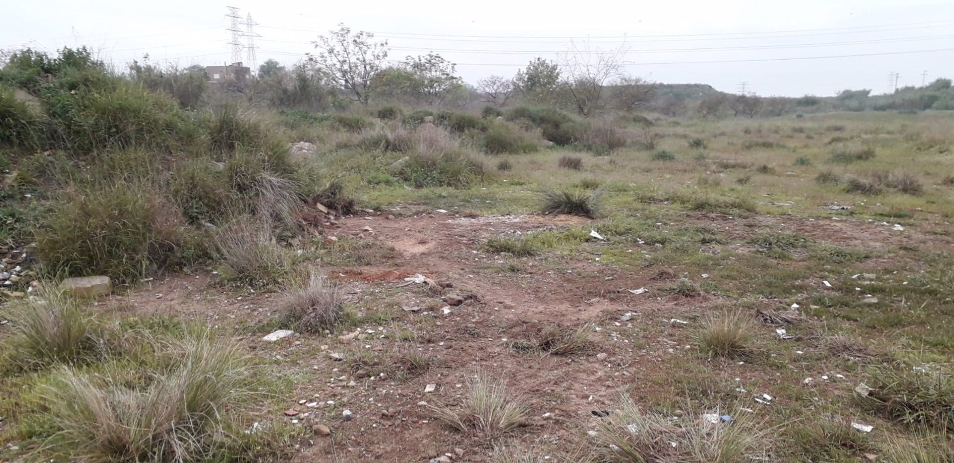 El Ayuntamiento de València retira en un día 7.320 kilos de residuos en el antiguo cauce del Túria