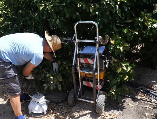 Estudio del Imida: el uso de ozono y aguas regeneradas beneficia el cultivo de cítricos