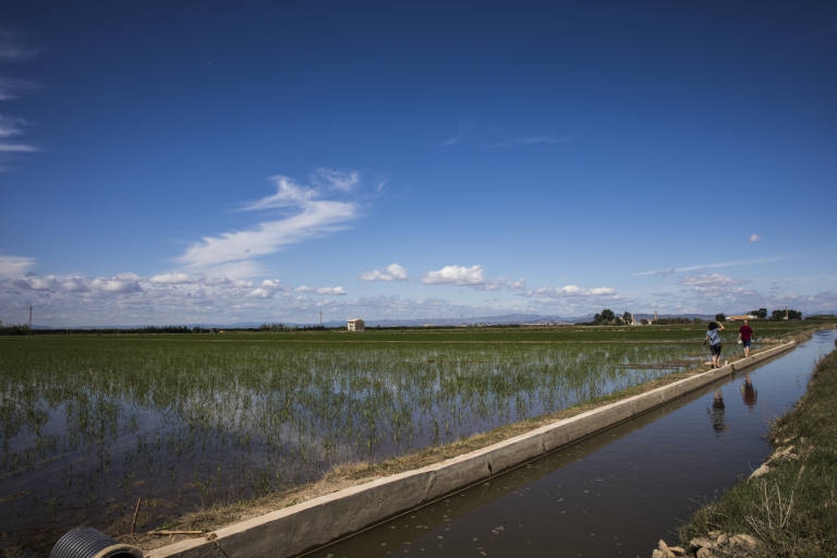 València desbroza 42.900 m2 y draga casi 10.000 metros de l'Albufera en 2021
