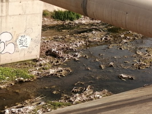 Compromís Moncada denuncia ante los juzgados vertidos sospechosos en el Barranco del Palmaret