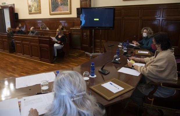 La Diputación apela a la colaboración y el consenso para garantizar el éxito del Plan de Igualdad

