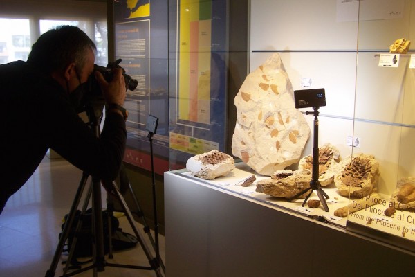 Investigadores de un proyecto sobre la flora de hace 66 millones de años visitan el Mupe de Elche