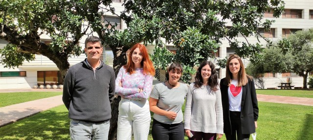 Un estudio de Incliva demuestra que el estrés en la infancia y la adolescencia puede modificar el cerebro