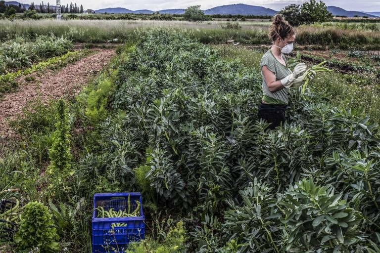 Foto: ROBER SOLSONA/EP - 