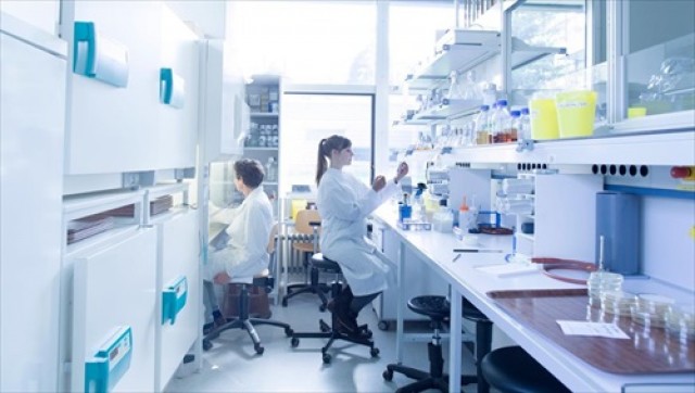 27 estudiantes de FP Dual, seleccionados para el programa de investigación sanitaria Sanec
