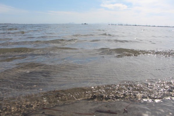 El estado del Mar Menor, al minuto: datos actualizados en el Portal de la Transparencia