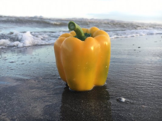 El pimiento murciano es la estrella de este 'photocall': concurso fotográfico para visibilizar sus cualidades