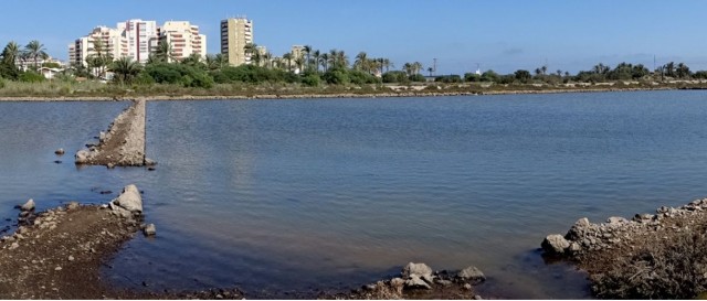 El renacer de las Salinas de Marchamalo: Anse reactivará la actividad salinera para recuperar su biodiversidad