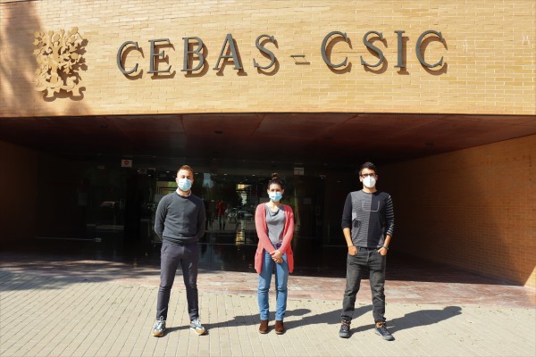 Retener el talento: Jóvenes doctores se forman en el Cebas gracias al programa de la Fundación Séneca