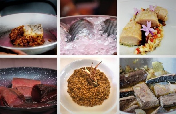 Una guía culinaria de la UA enseña a aprovechar mejor el pescado en la cocina