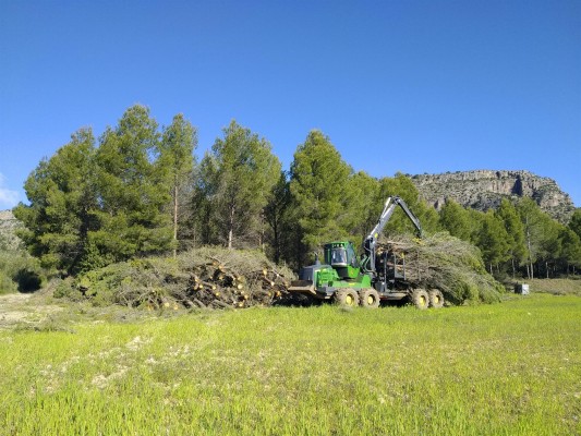 La Región certifica sus primeros créditos de carbono procedentes de gestión forestal