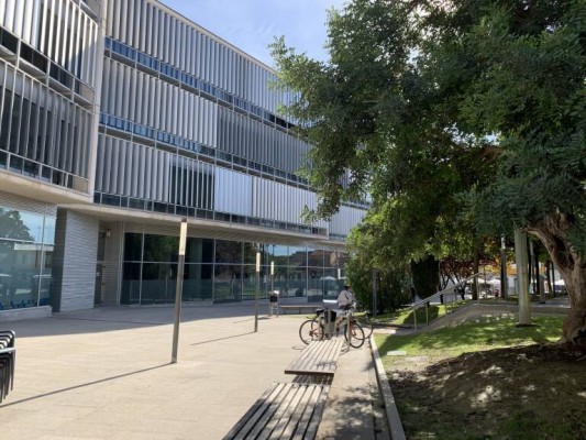 Consejos de participación en San Vicente: ¿Cuántos se han convocado de los que ha aprobado el Pleno?