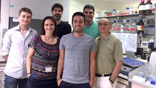 Incliva desarrolla un test que detecta de forma temprana y predice la evolución de la sepsis 