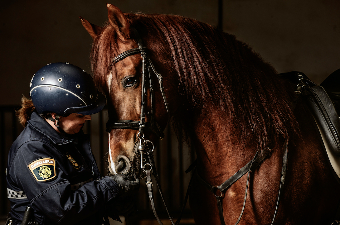 Mari Carmen Mas, con su ‘compañero’ Cobre (DANIEL DUART) - 