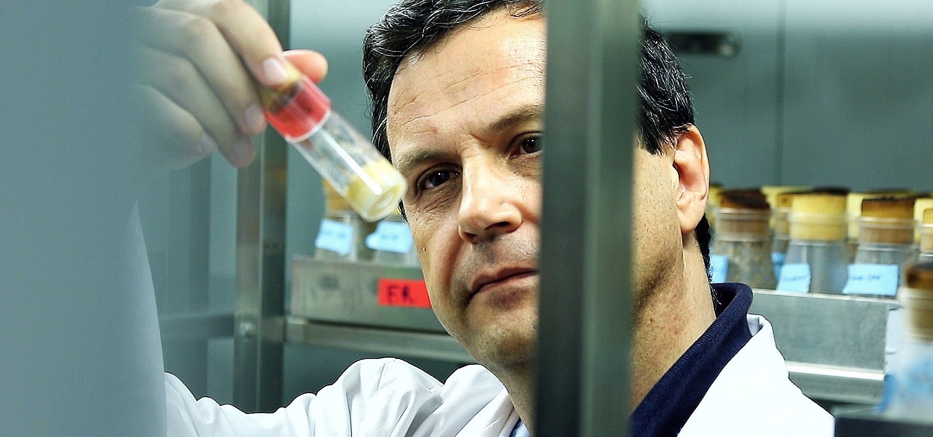 El Grupo de Genómica Traslacional de Incliva, Premio Innovación UV-Banco Santander por su trayectoria