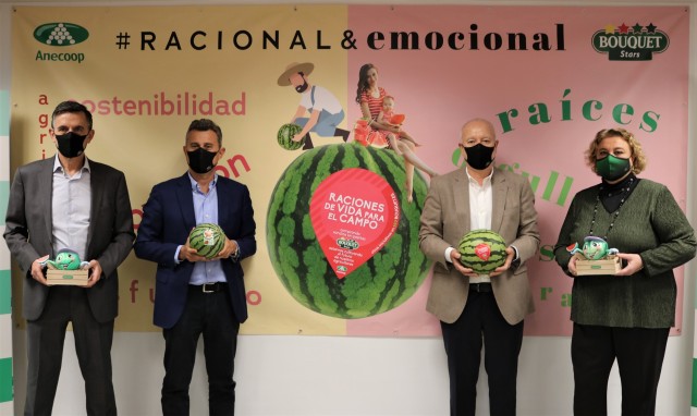 Anecoop inicia la campaña la sandía Bouquet con una previsión de ventas de 155.000 toneladas en 29 países