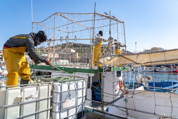 Cartagena consigue un proyecto europeo para dar a conocer la pesca del Puerto de Santa Lucía a los escolares