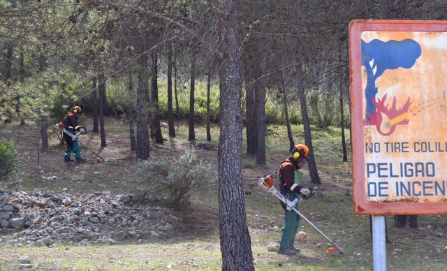Las dudas legales sobre el encaje laboral del personal de Divalterra complican su disolución