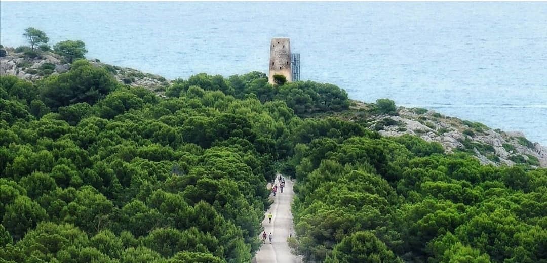 Oropesa se reúne con Conselleria para trazar actuaciones que protejan el entorno de la Vía Verde