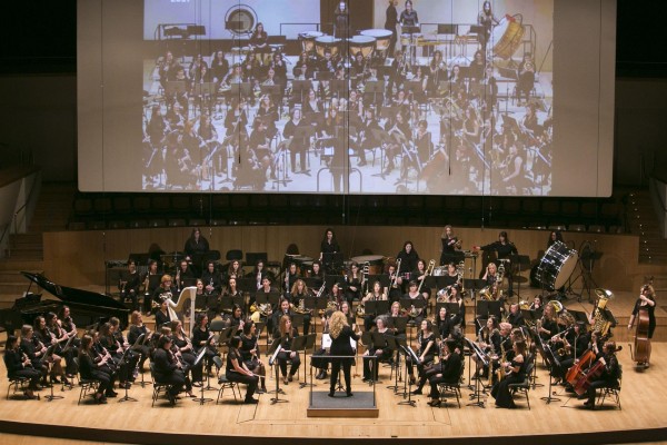 Mulet insiste en rebajar el IVA de instrumentos musicales