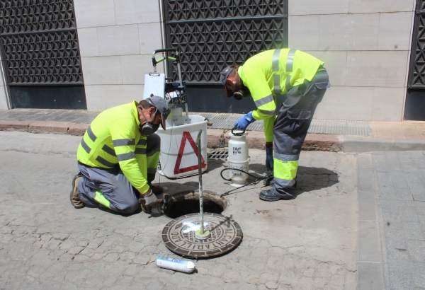 Borriana y Facsa intensifican la campaña de control de plagas en la red municipal de alcantarillado