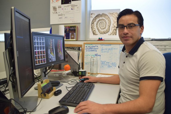 Fisabio desarrolla una herramienta que mejora la interpretación de resonancias de médula espinal