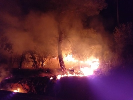 417 personas integran el dispositivo especial de prevención de incendios de Semana Santa