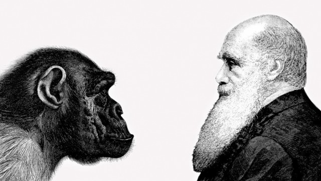 Evolución: simplemente una teoría