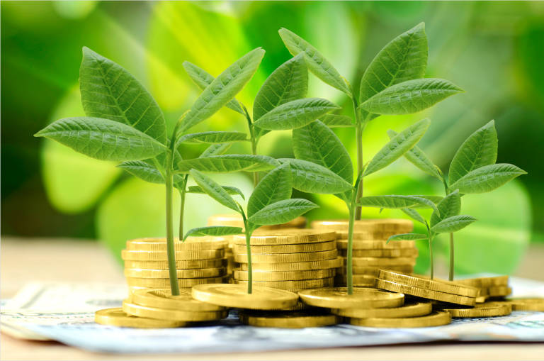 La importancia de los llamados criterios ESG en las compañías cotizadas