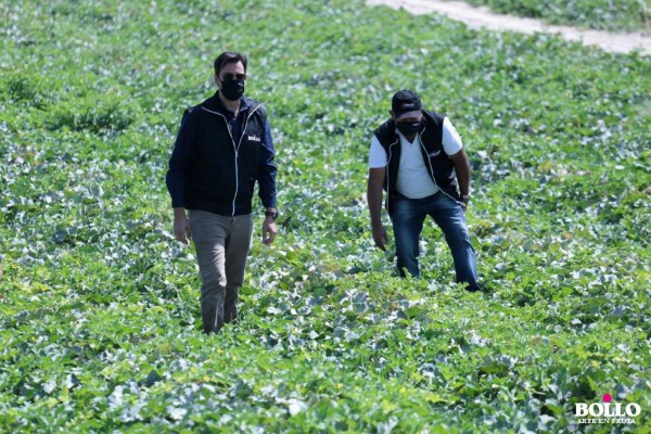 Bollo, primera empresa agrolimentaria en Brasil que consigue el certificado de 'covid free'