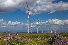 Vestas se dispara en Bolsa después de que Trump no penalice las inversiones verdes tanto como se temía
