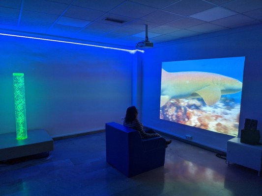 Una sala multisensorial para mejorar el proceso de envejecimiento en personas con Síndrome de Down