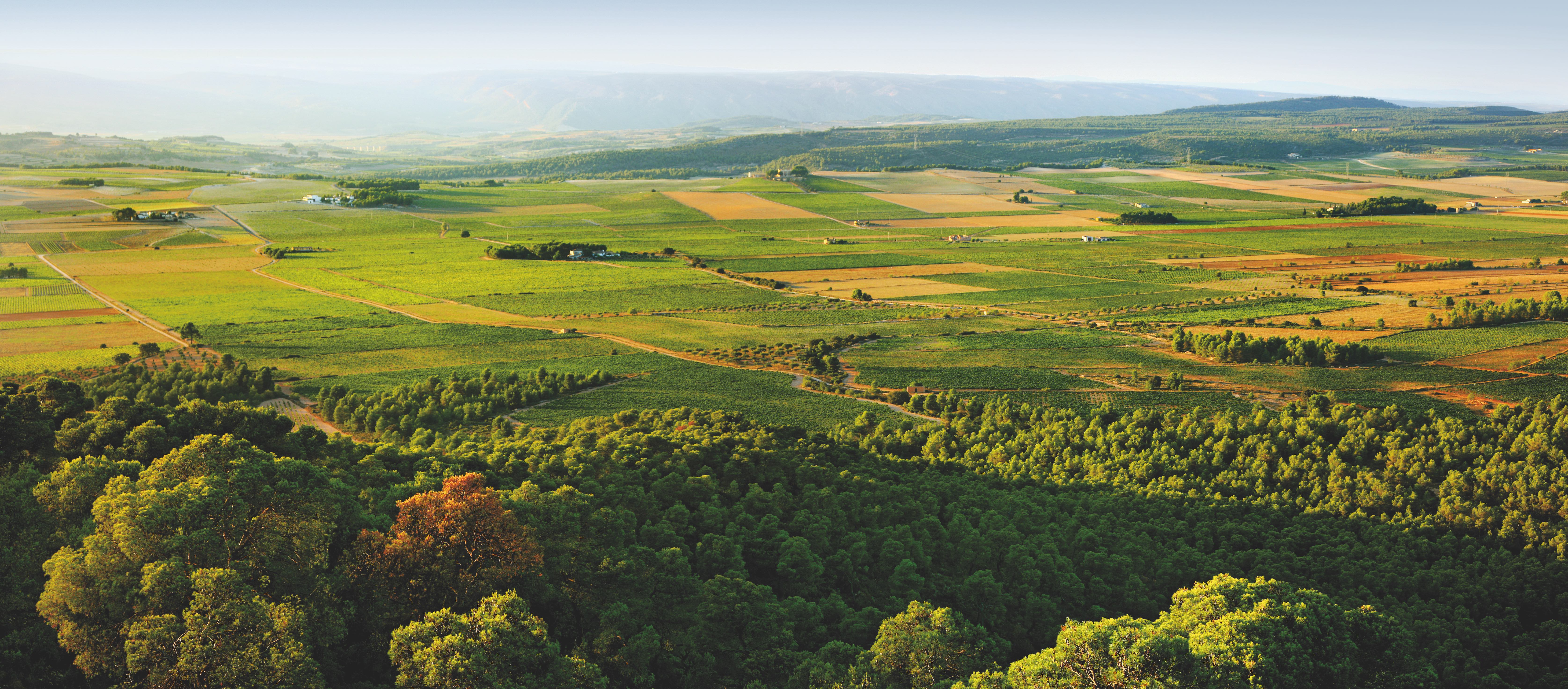 Moixent y la Font de la Figuera cambian su plan general para proteger la 'Toscana valenciana'