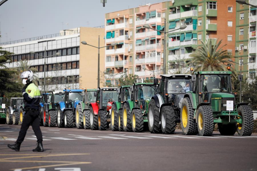 Foto: EFE/Ana Escobar - 