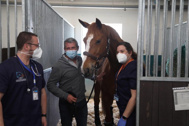 Dan de alta al último caballo ingresado por rinoneumonía equina