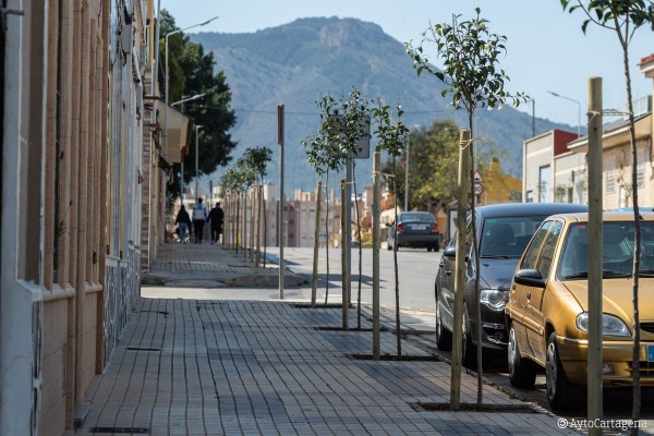 Operación 'verde' en la Azohía, Isla Plana y San José Obrero: plantación de nuevo arbolado