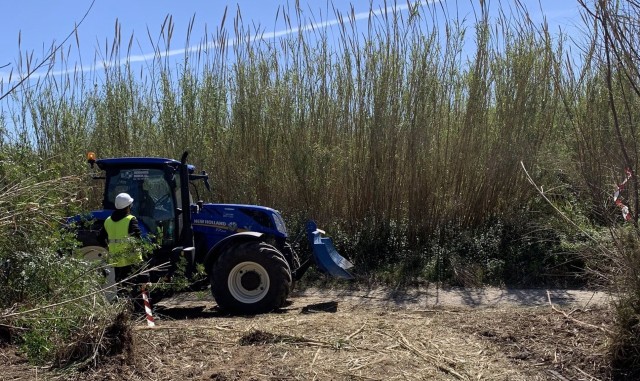 La Generalitat destina 1,3 millones a restaurar el bosque autóctono del Parque Natural del Turia